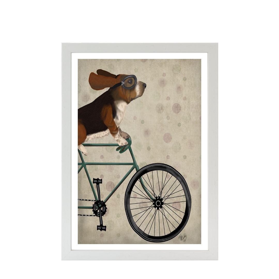 Basset Hound on Bicycle