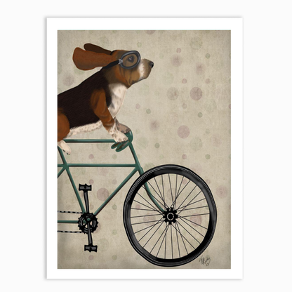 Basset Hound on Bicycle