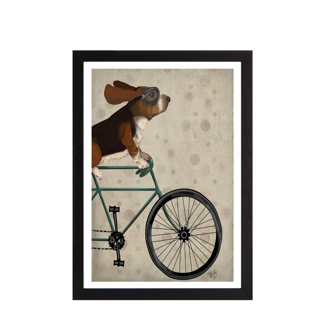 Basset Hound on Bicycle