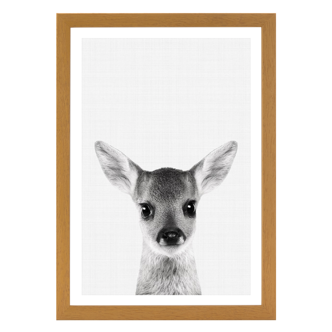 Fawn Portrait Print