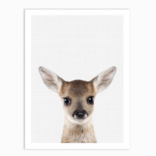 Fawn Portrait Print