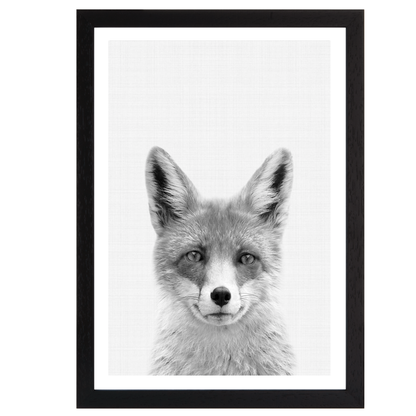 Fox B&W