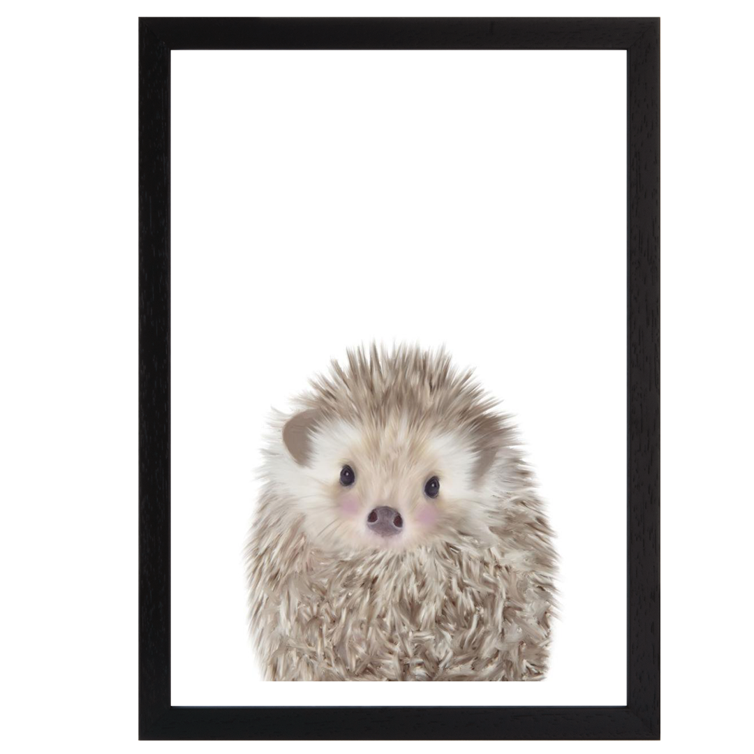 HEDGEHOG