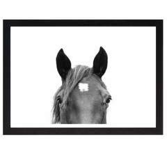 Peeking Horse