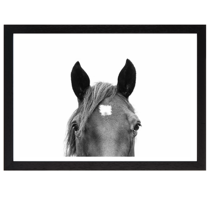 Peeking Horse