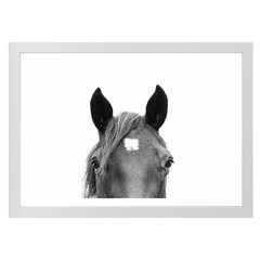 Peeking Horse
