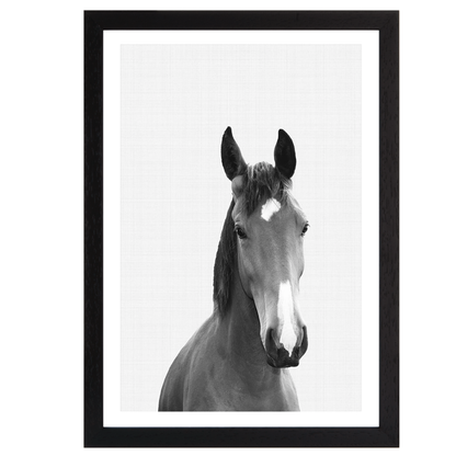 Horse Portrait Print