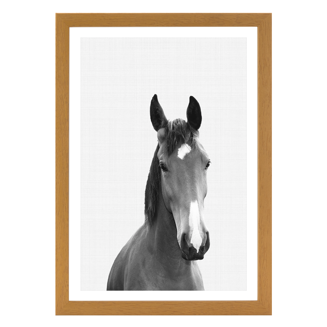 Horse Portrait Print