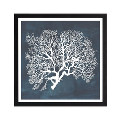 Inverse Sea Fan III
