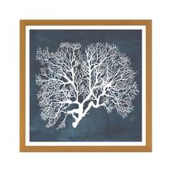 Inverse Sea Fan III