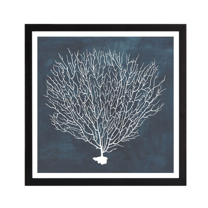 Inverse Sea Fan IV