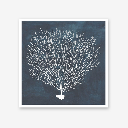 Inverse Sea Fan IV