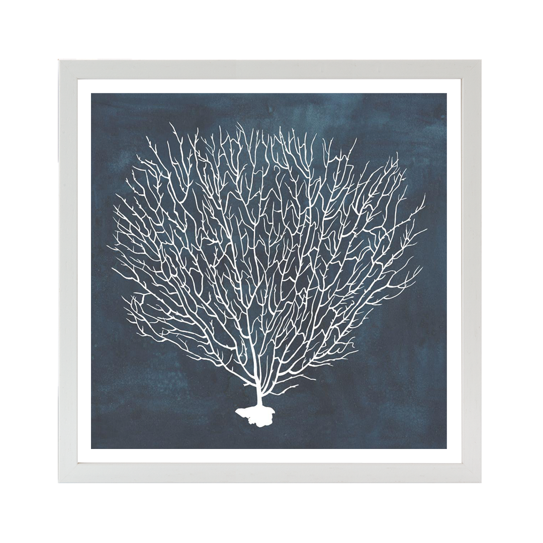 Inverse Sea Fan IV