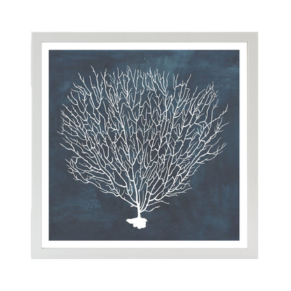 Inverse Sea Fan IV