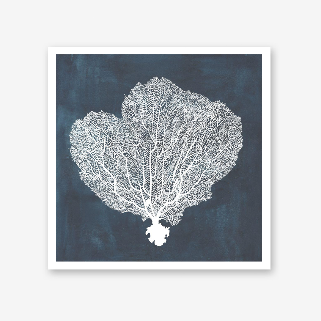 Inverse Sea Fan I