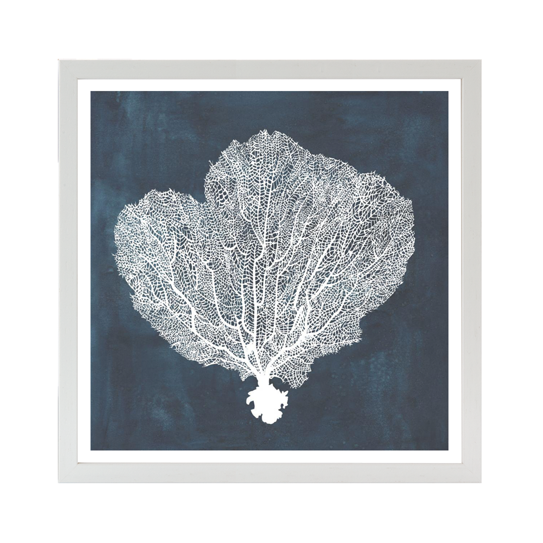 Inverse Sea Fan I