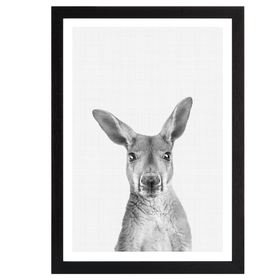 Kangaroo B&W Portrait