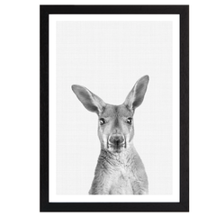 Kangaroo B&W Portrait