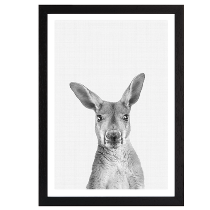 Kangaroo B&W Portrait