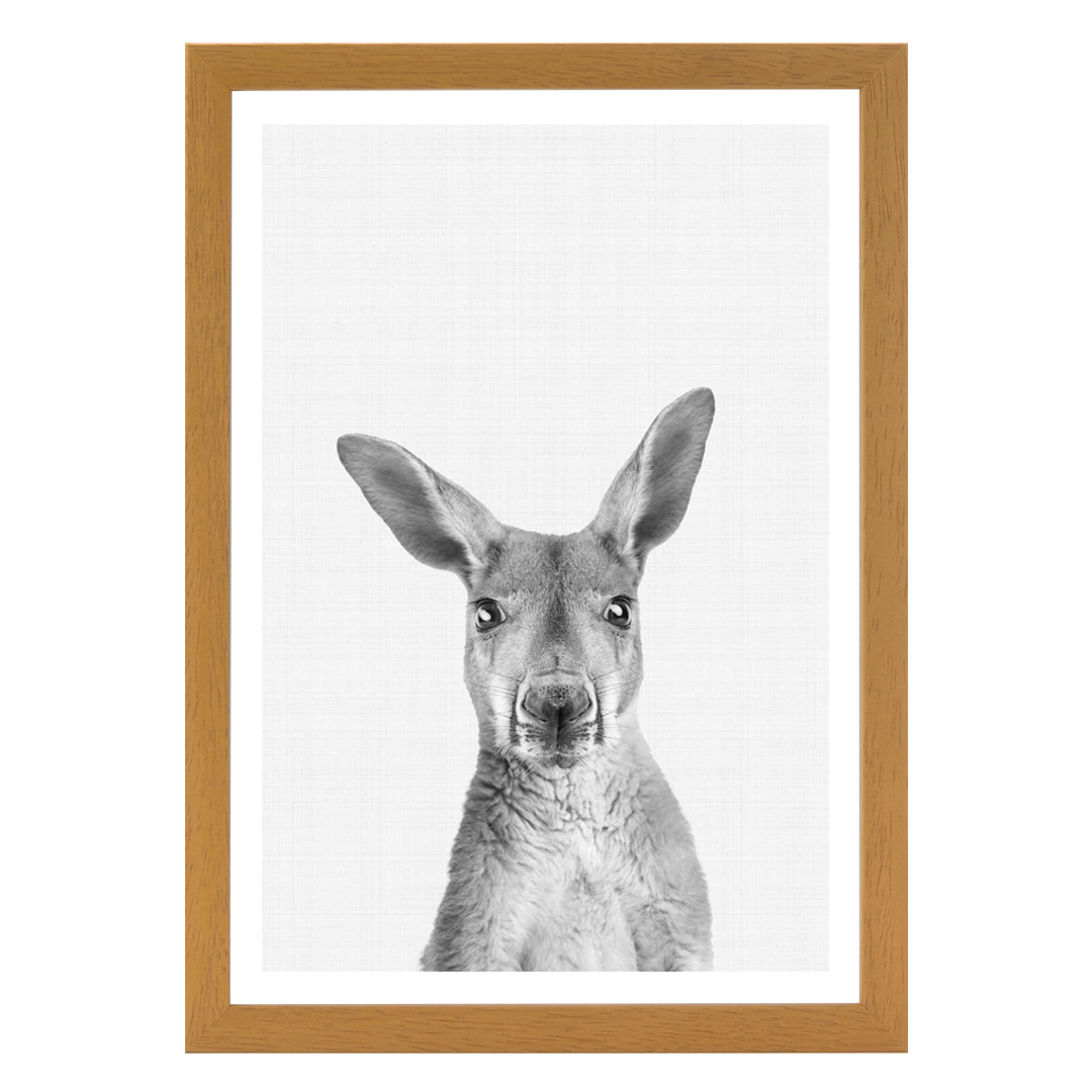 Kangaroo B&W Portrait