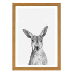 Kangaroo B&W Portrait
