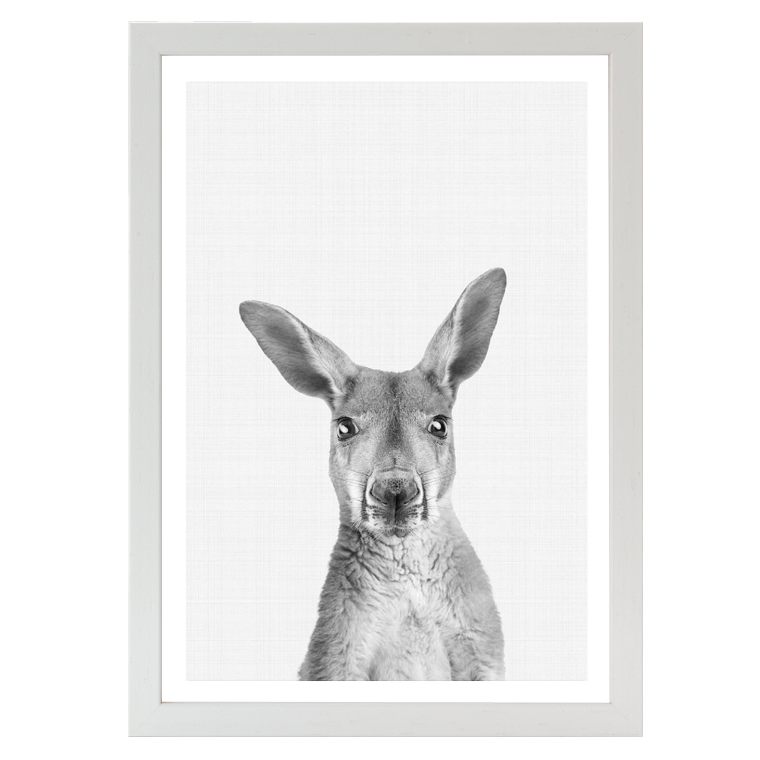 Kangaroo B&W Portrait