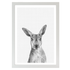 Kangaroo B&W Portrait