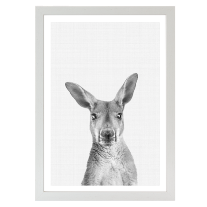 Kangaroo B&W Portrait