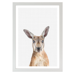 Kangaroo Portrait