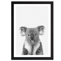 Koala Portrait B&W