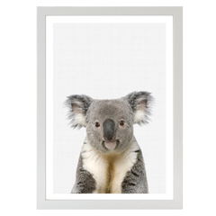 Koala Portrait