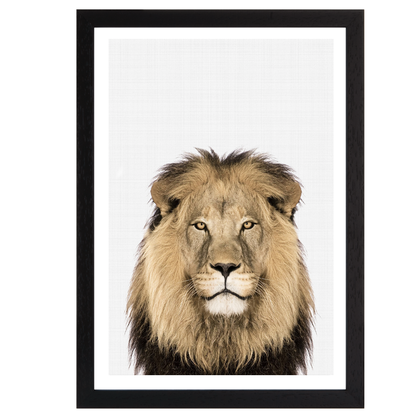 Lion Portrait Print