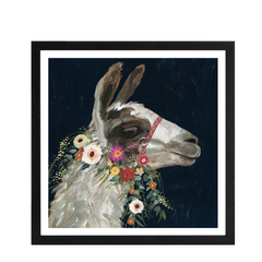 Lovely Llama I