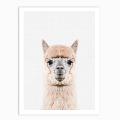 Llama Portrait Print