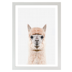 Llama Portrait Print