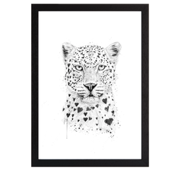 Lovely Leopard