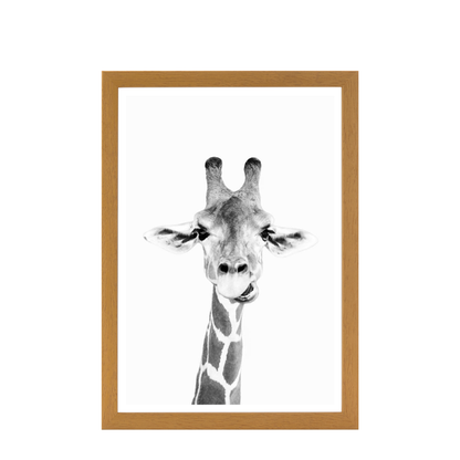 Hey Giraffe bw