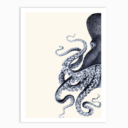 Octopus Indigo Blue and Cream a