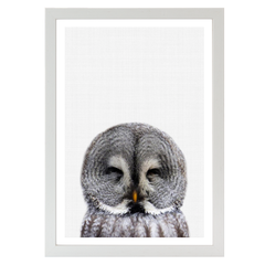 Owl Portrait 2 Print