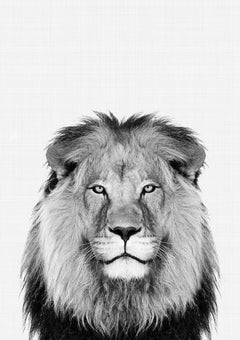 Lion Portrait Print