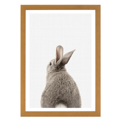 Rabbit Tail