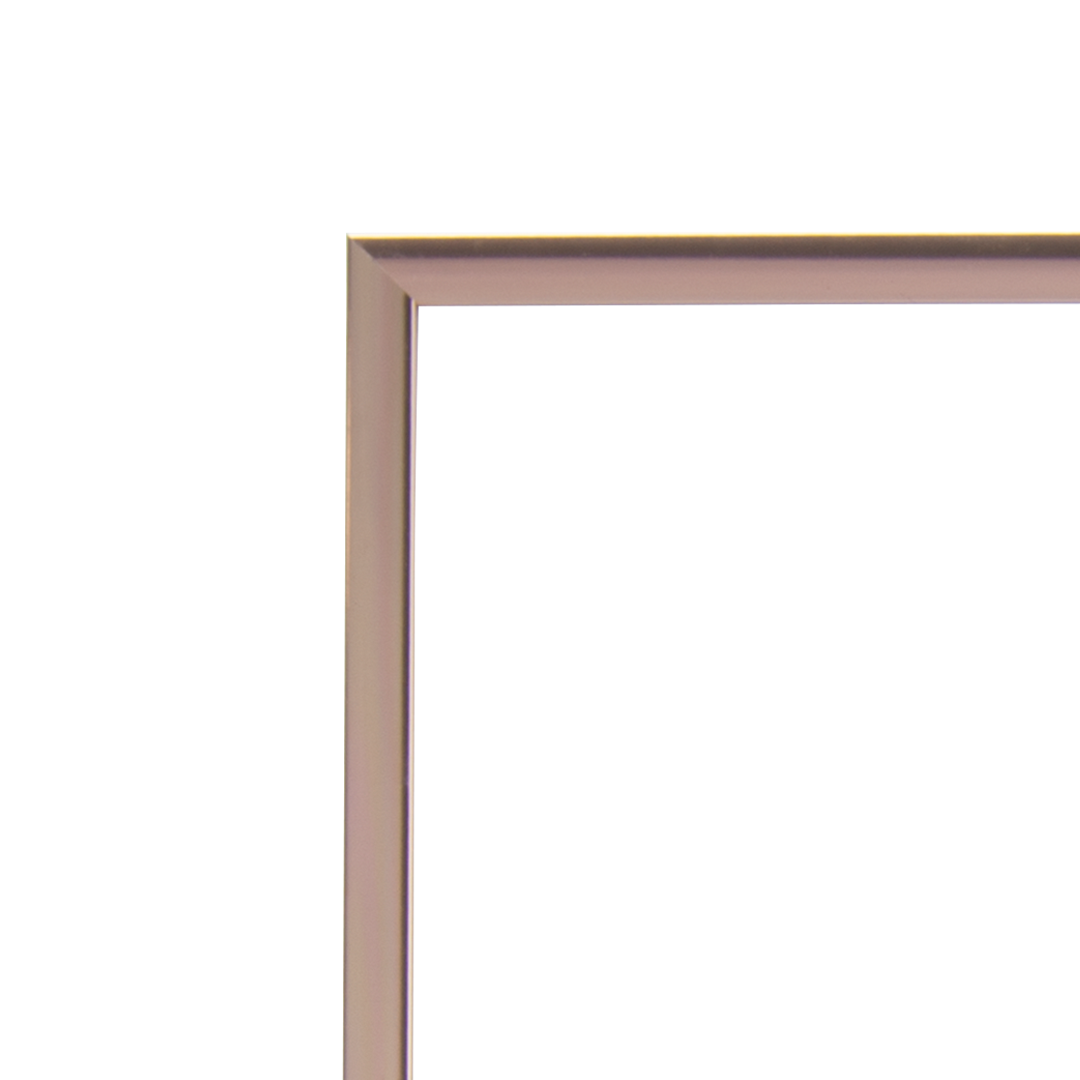 Thin Rose Gold frame