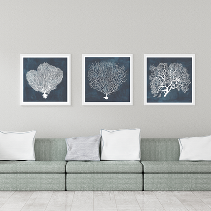 Inverse Sea Fan I, II & IV Set