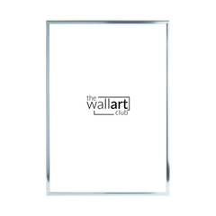 Thin Silver frame