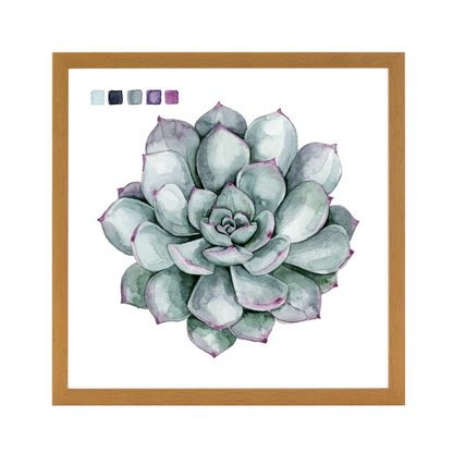 Succulent Swatches II