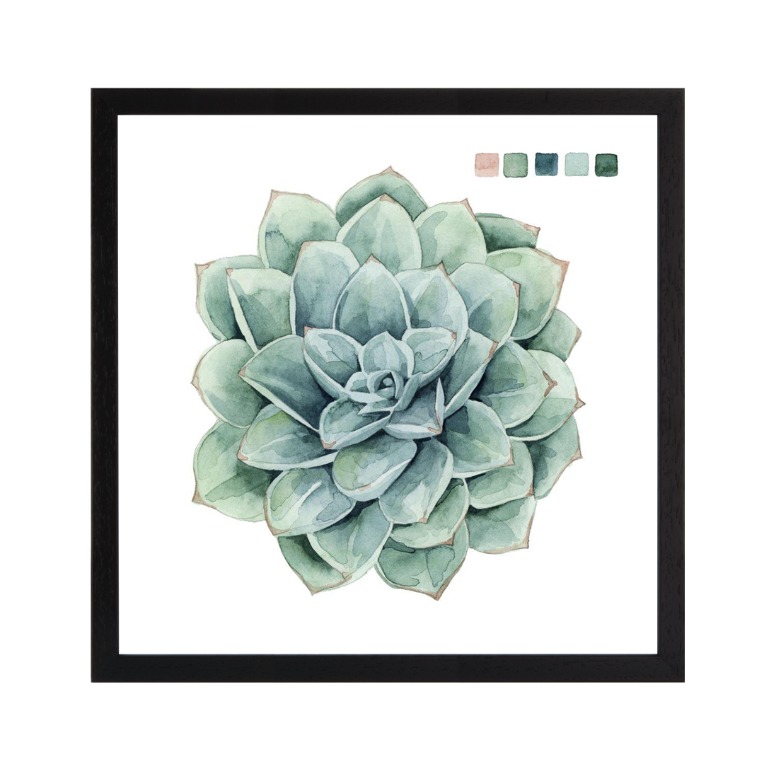 Succulent Swatches I