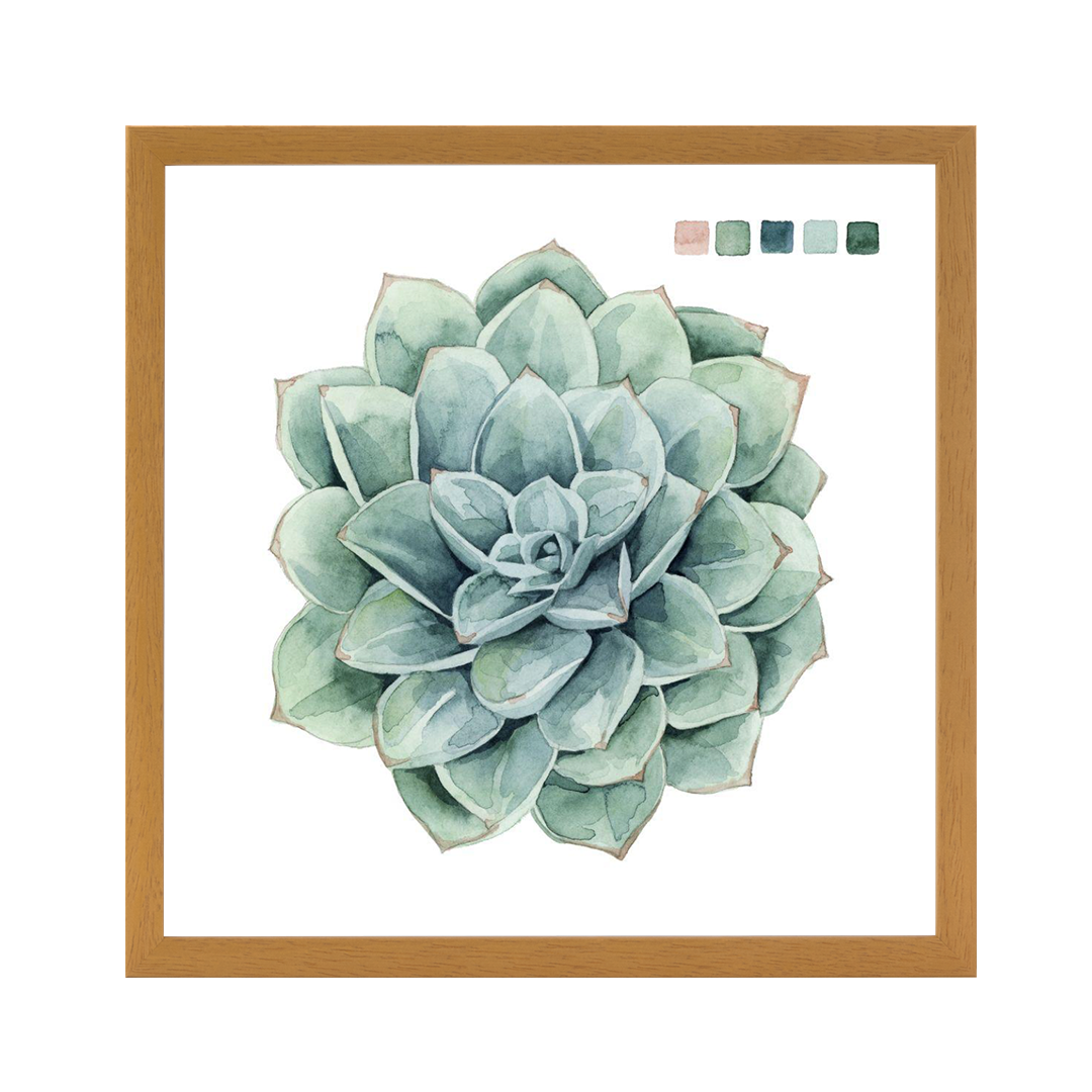 Succulent Swatches I