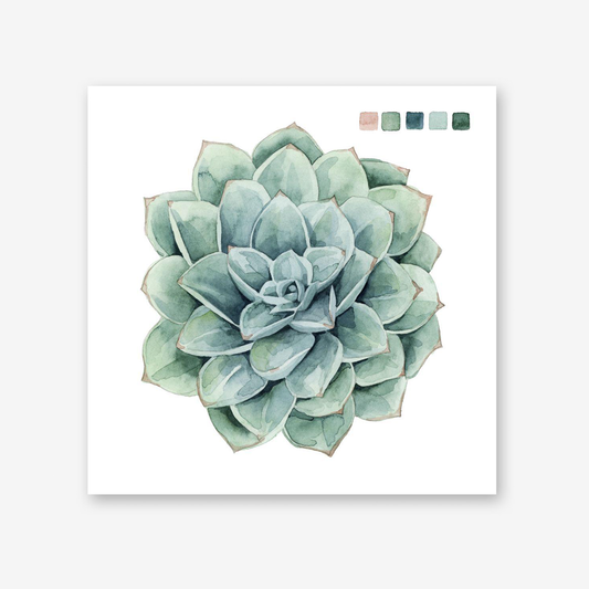 Succulent Swatches I