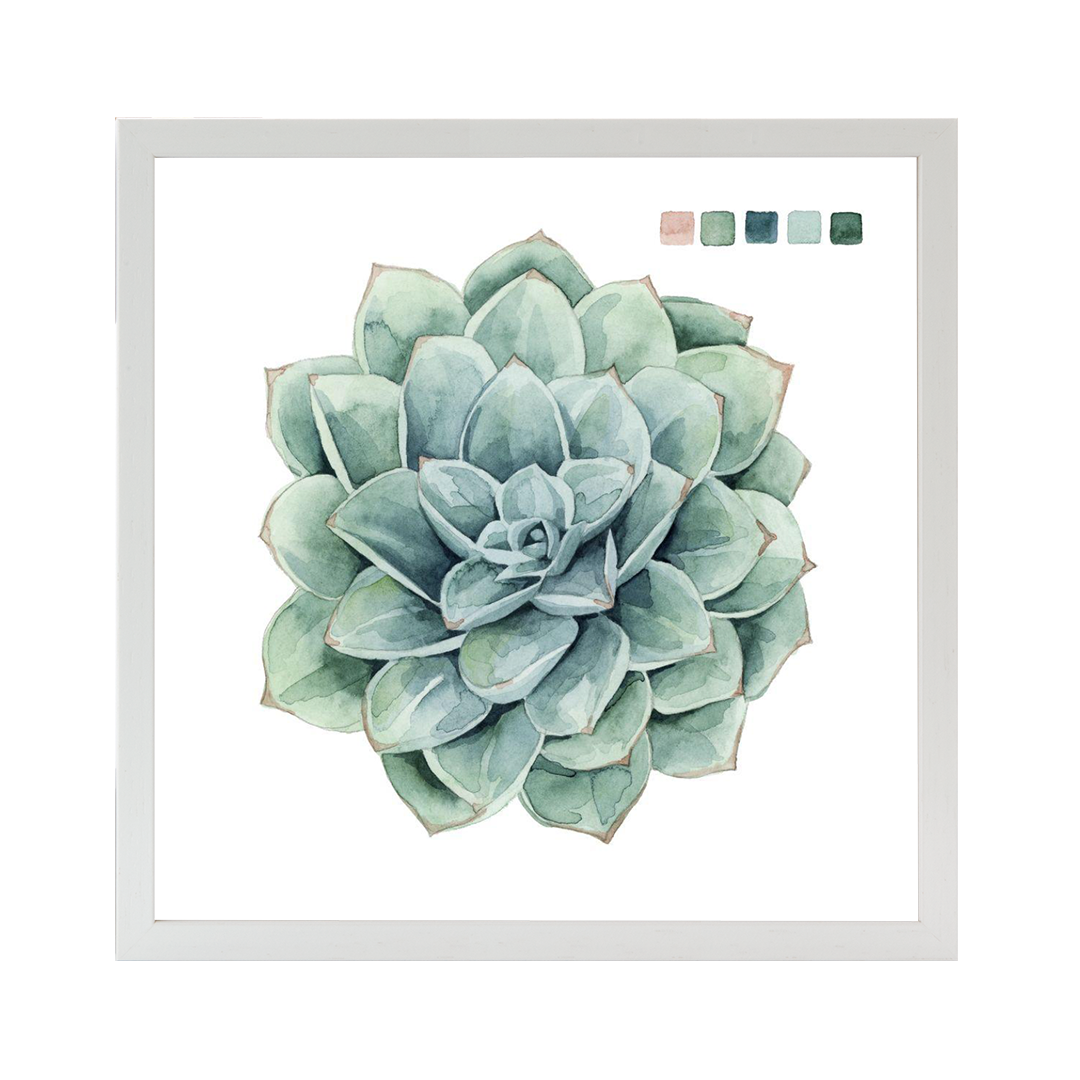 Succulent Swatches I