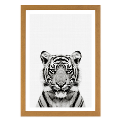 Tiger Portrait Print